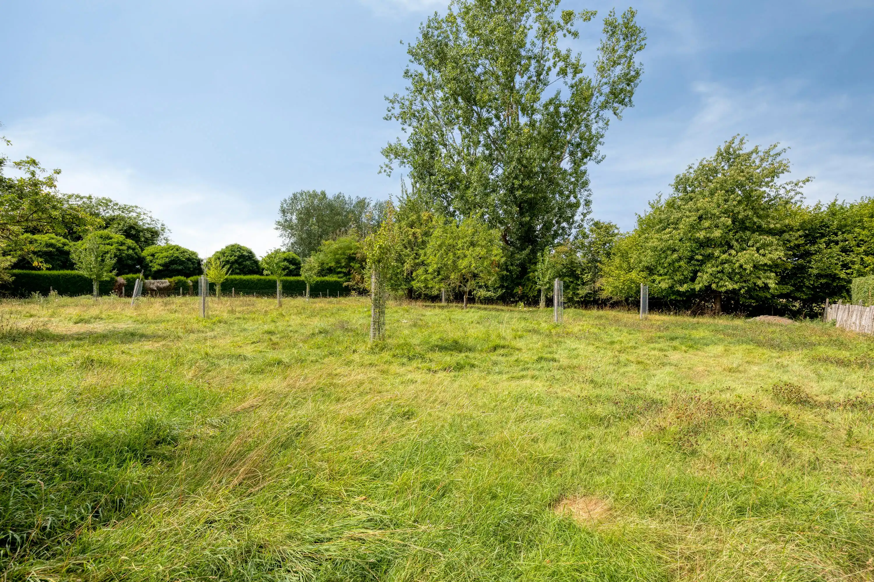 Hoeve te koop in Ulbeek foto 25
