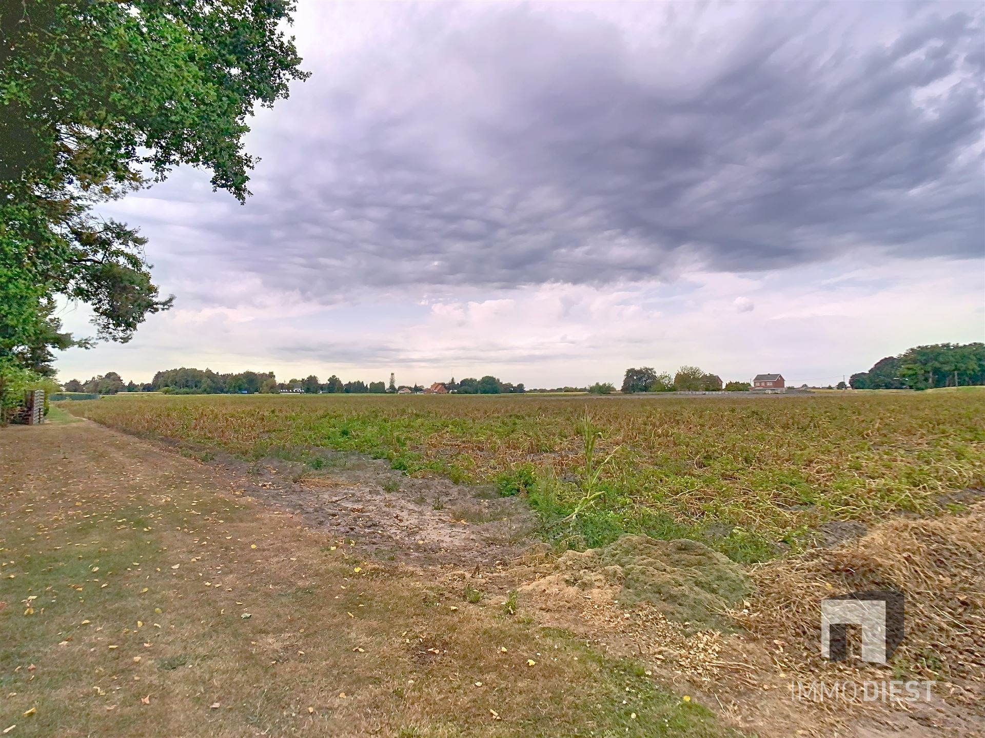 Charmante hoeve met schuren, knappe tuin en achterliggende weilanden op meer dan 3 hectare te Geel. foto 44