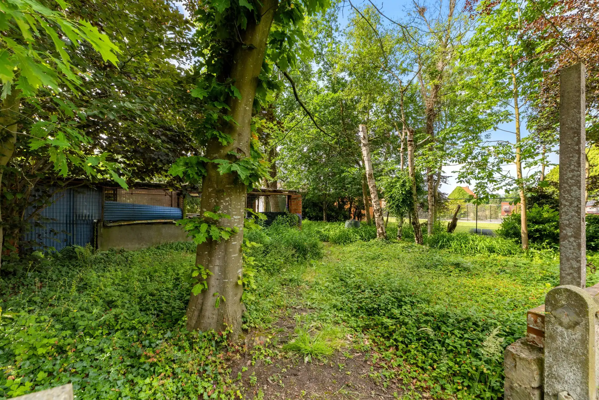 Karaktervolle architectenvilla op een royaal perceel van 1.286 m² getekend door architect Piet Pauwels foto 18