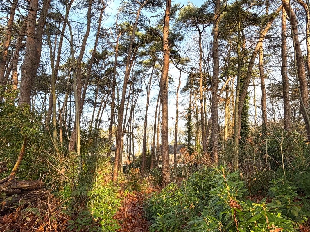 Grond te koop foto 3