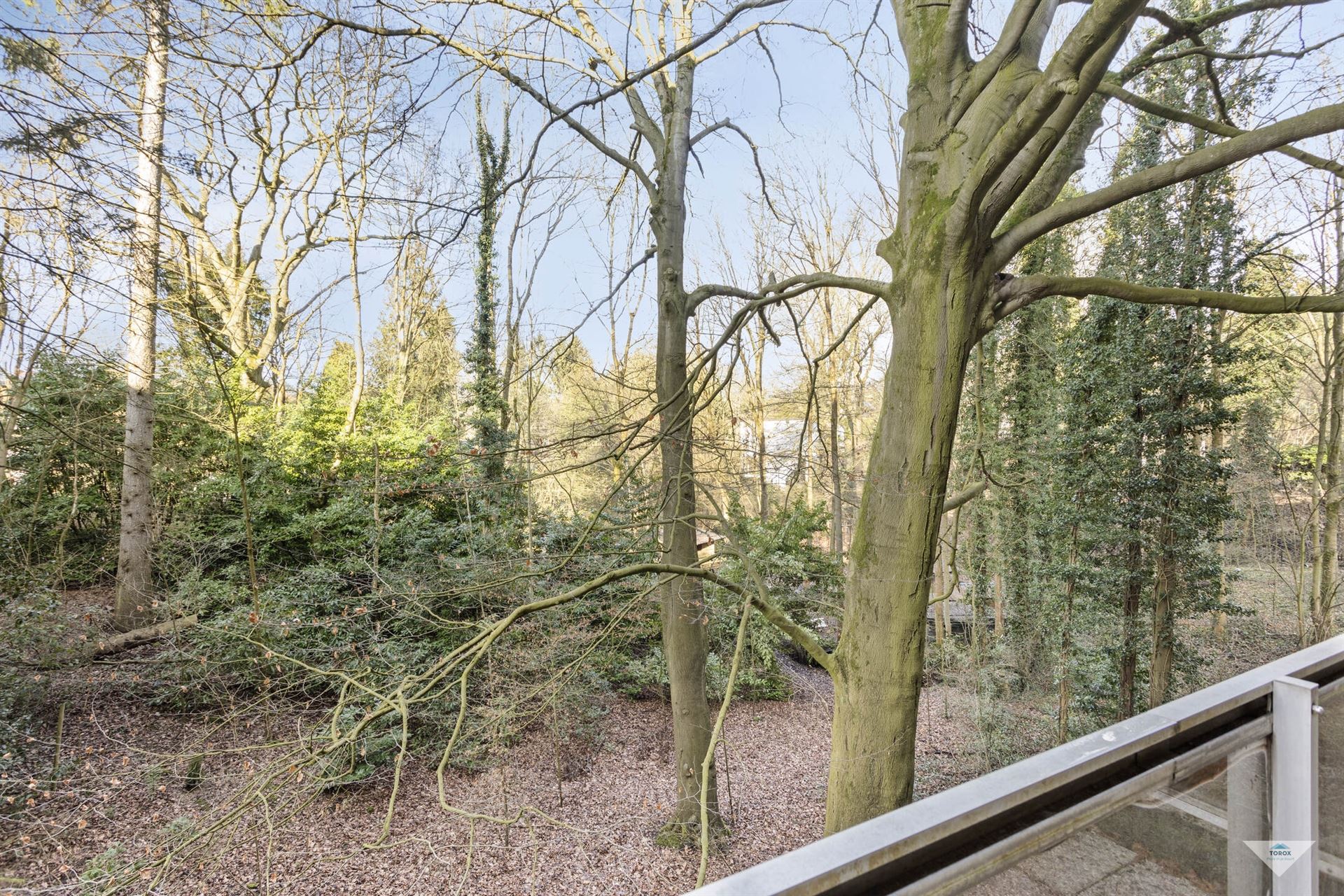 Aangename studio met groot terras en groen uitzicht foto 9