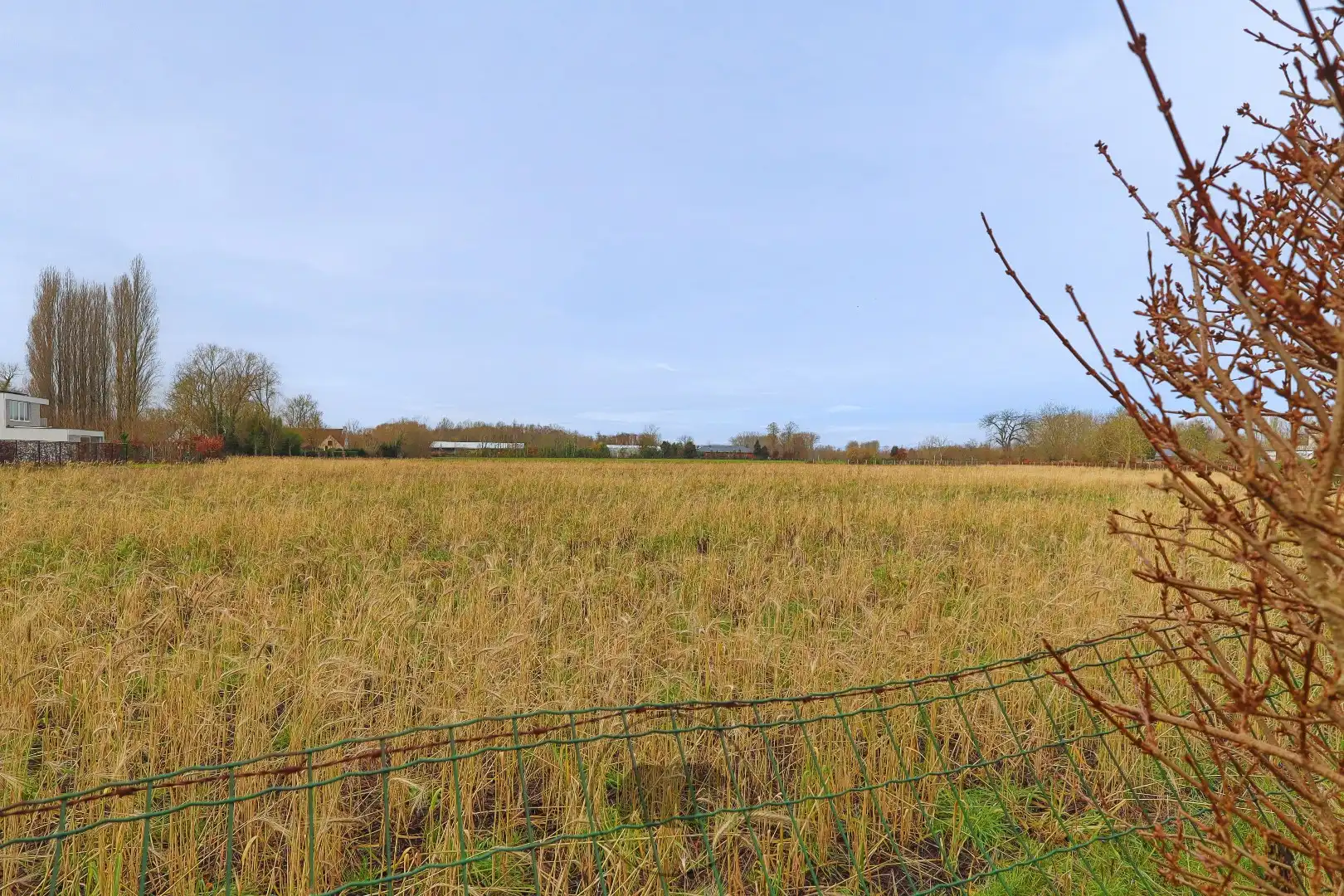 Woning met karakter en uitzicht op de velden nabij centrum Aalst foto 2