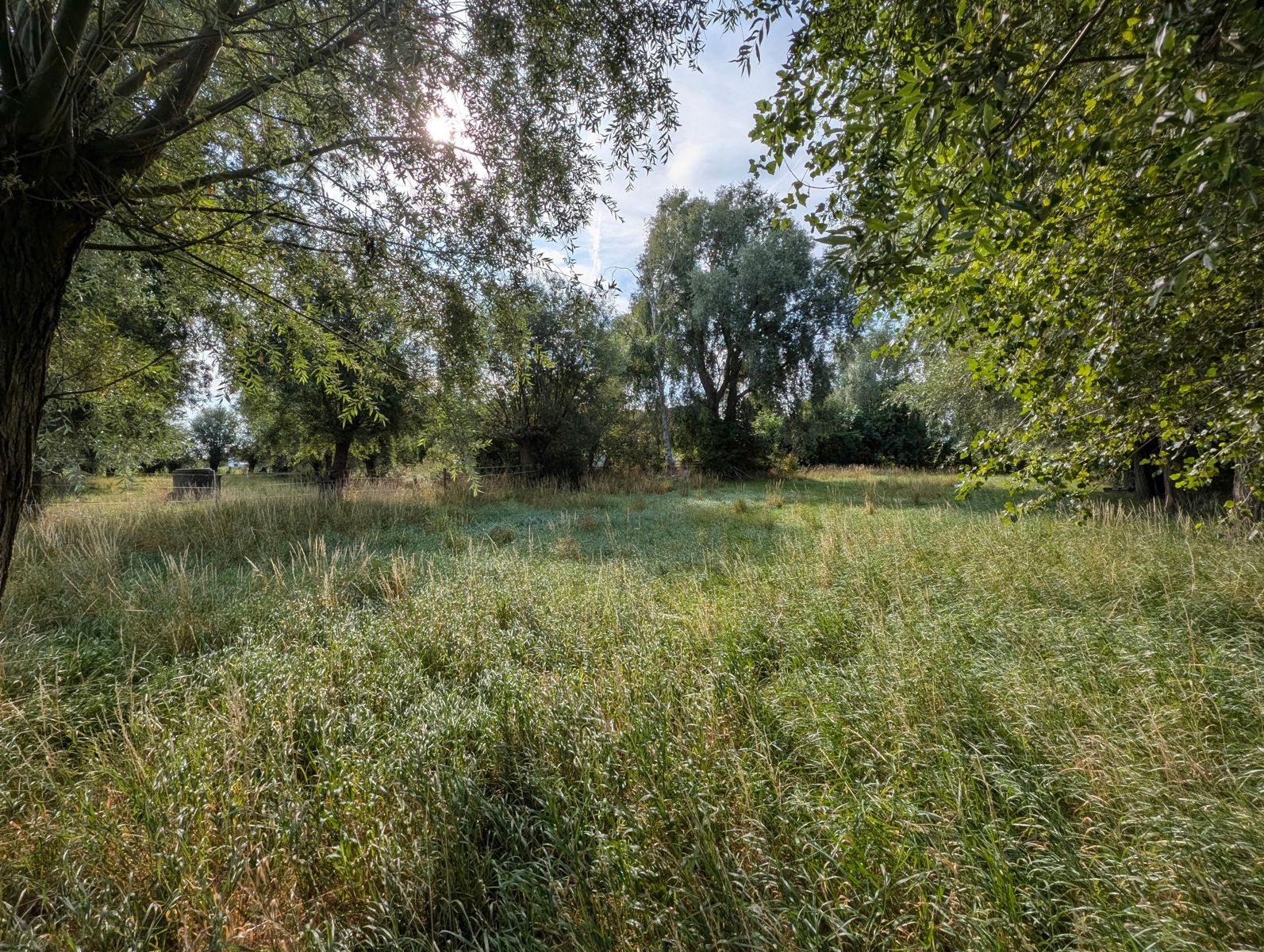 Authentieke hoeve te koop , Adinkerke foto 10