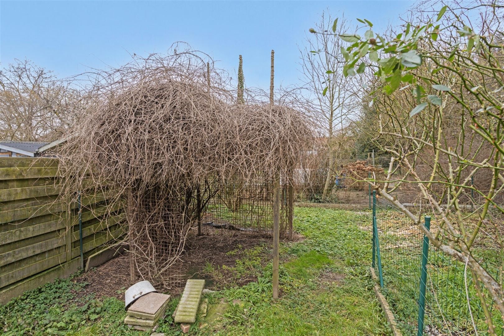 Te renoveren woning in deelgemeente Bevere foto 29