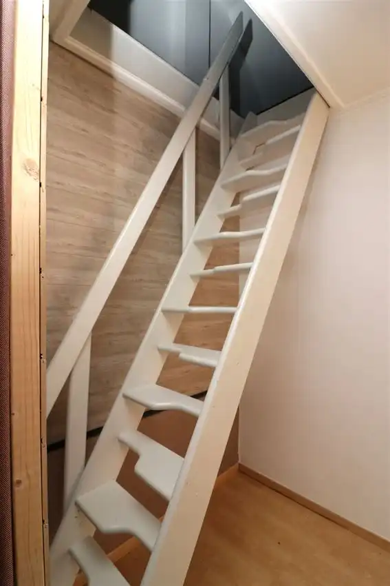 charmant, ruim, mogelijkheid beroep of kangoeroe foto 22