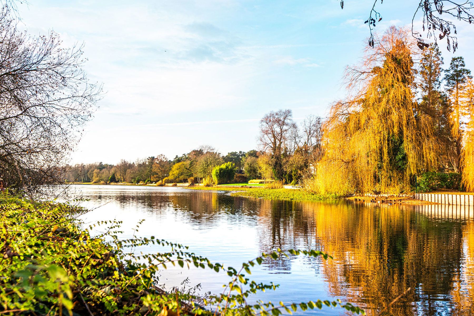 Exclusieve bouwgrond van 4.370 m² in “Golf & Meer”-domein foto 32