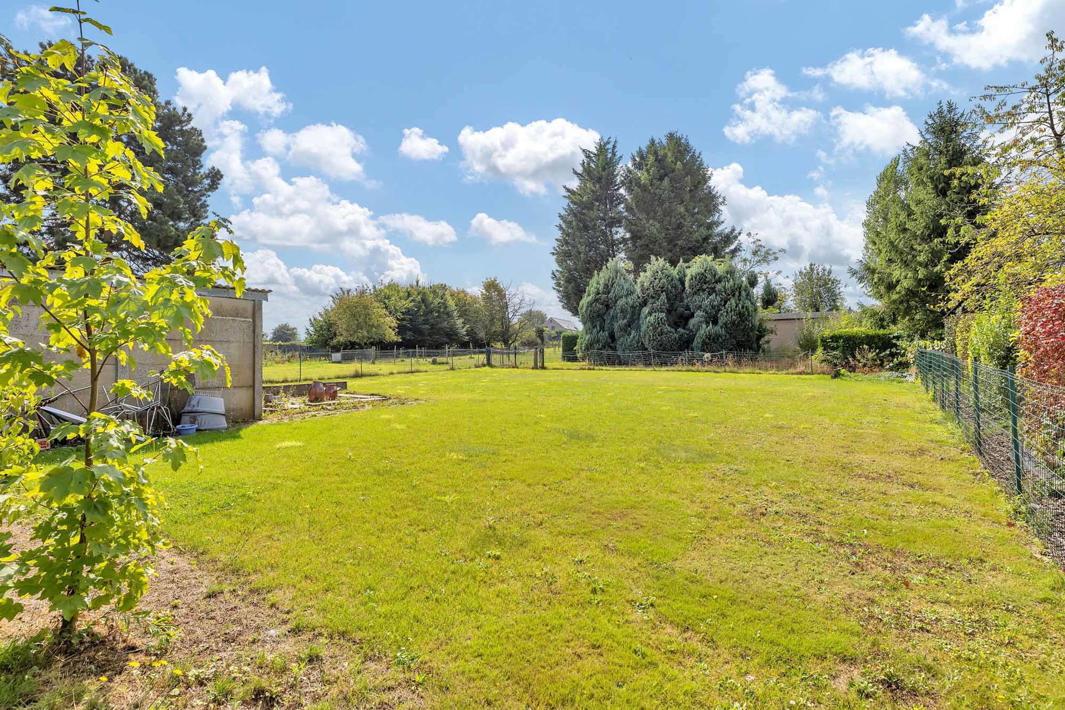 Open bebouwing te koop in Schepdaal! foto 26