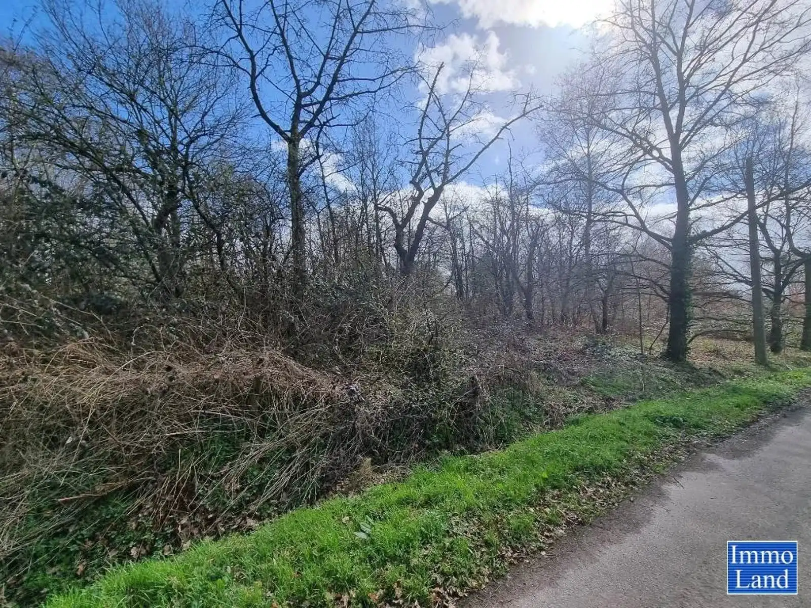 Perceel grond van 75are, gelegen in agrarisch gebied op de grens Hasselt - Diepenbeek, omgeving Mombeekdreef. foto 9