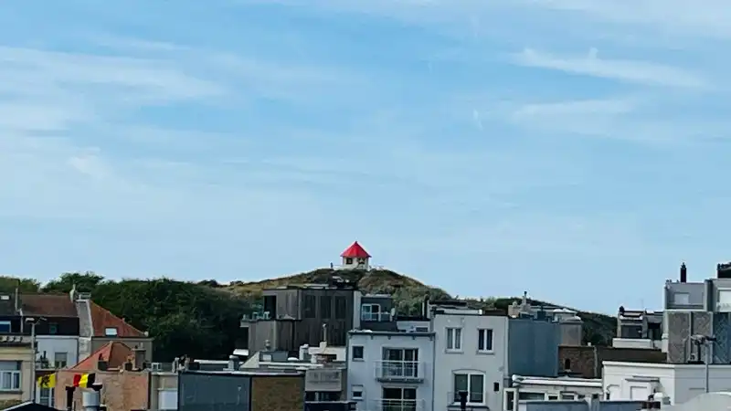 Ruim duplexappartement met groot zonneterras in hartje Wenduine foto 29