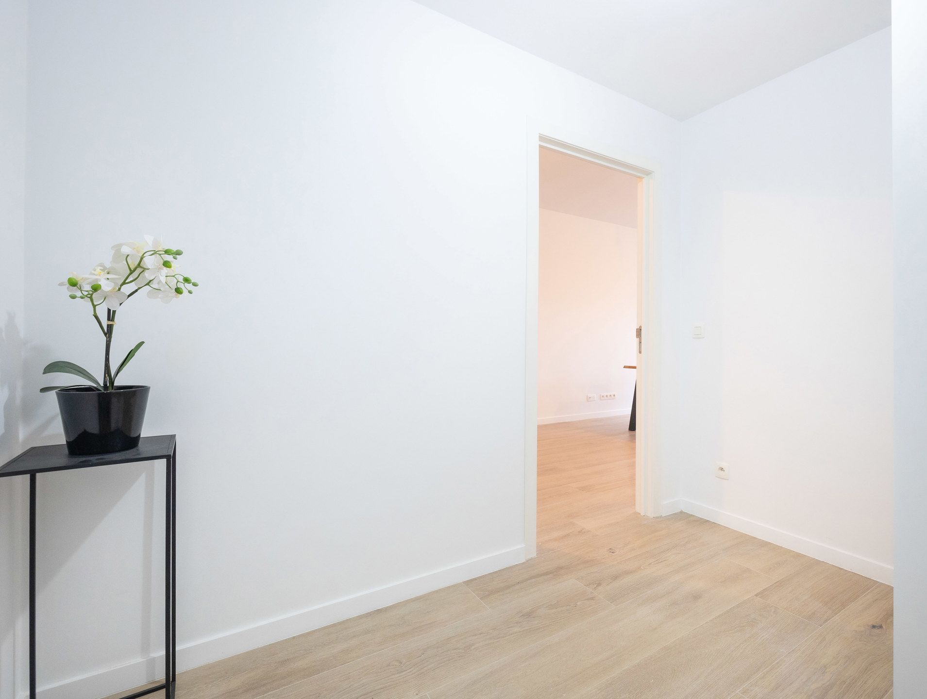 Gloednieuw ecologisch project  foto 5