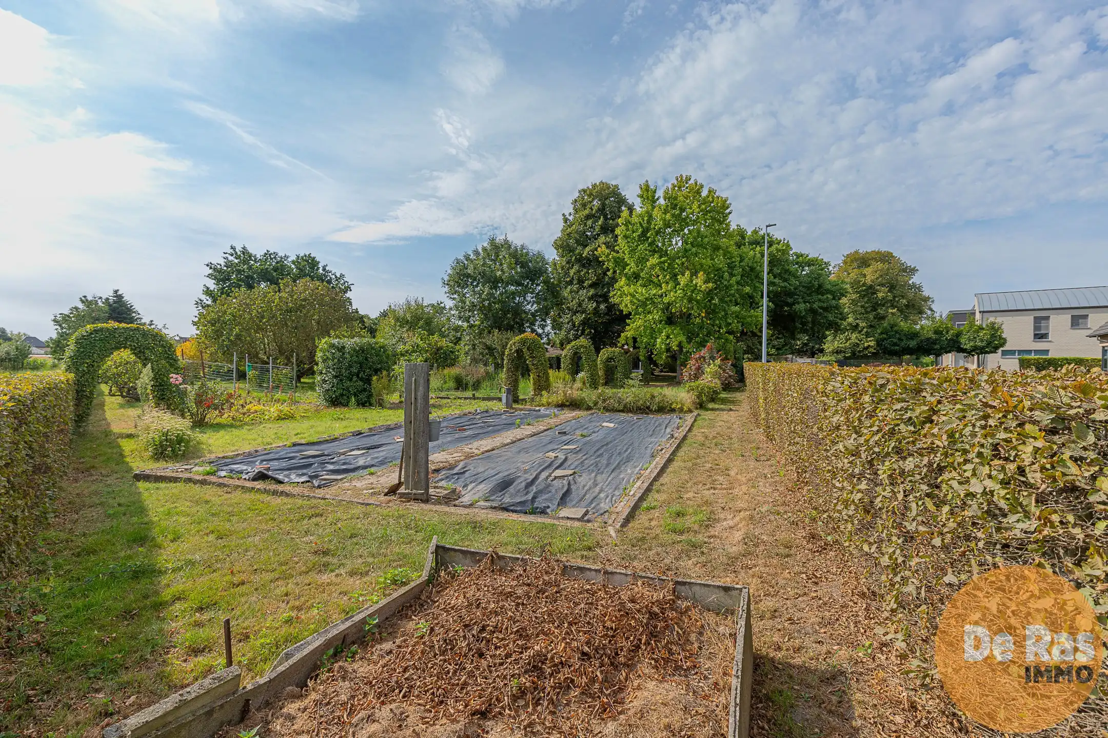 WICHELEN – Karakteristiek burgerhuis op schitterend perceel foto 21