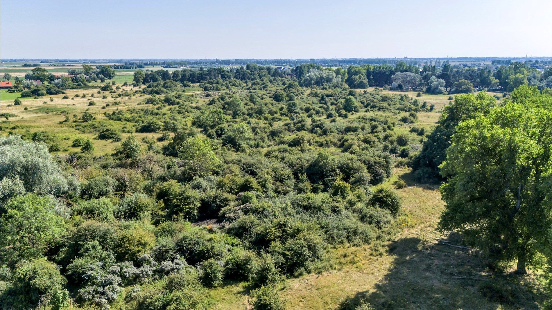 Bouwgrond grenzend aan het natuurgebied foto 1