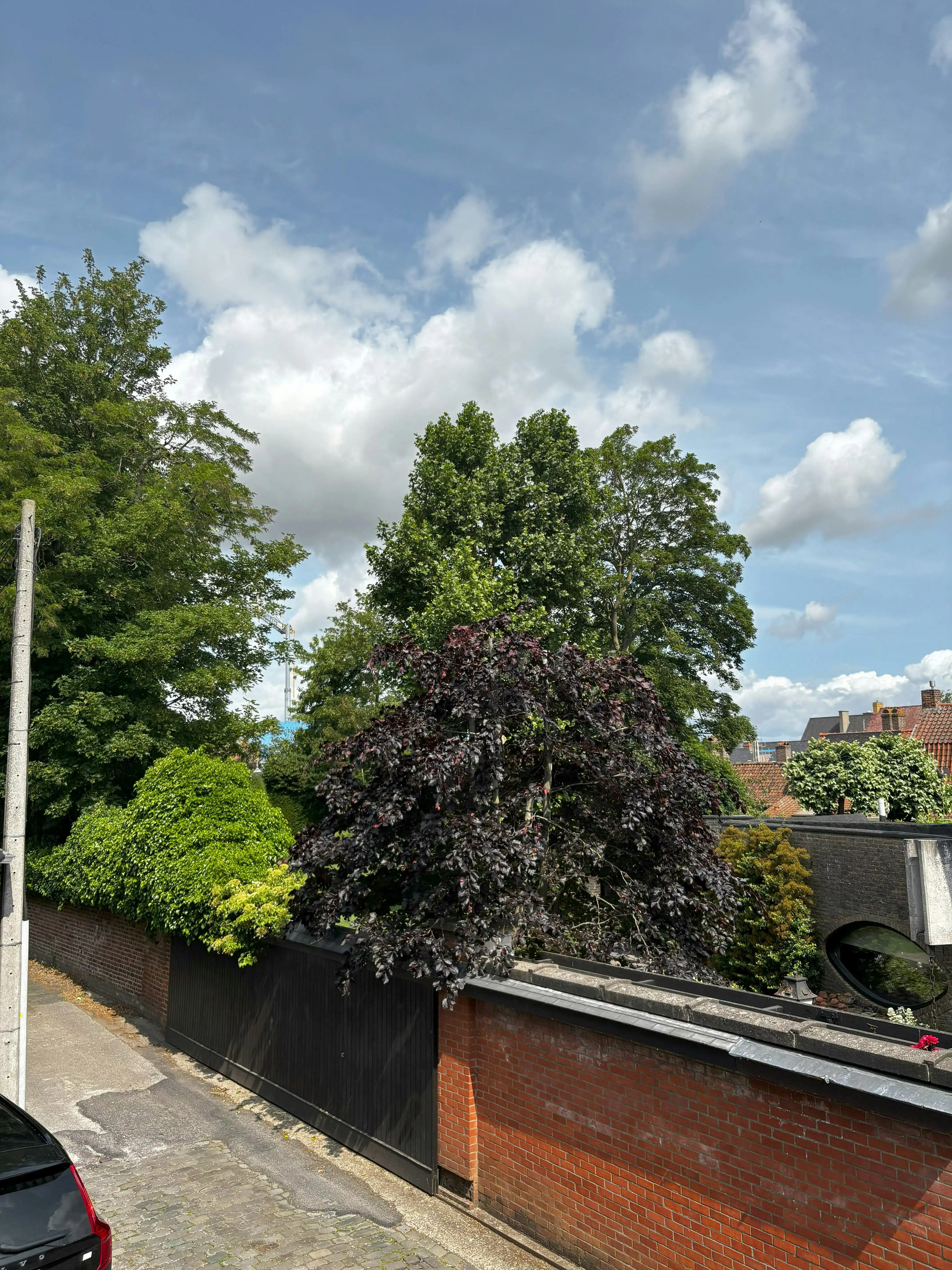 Appartement te koop in de Casselstraat in Poperinge foto 12