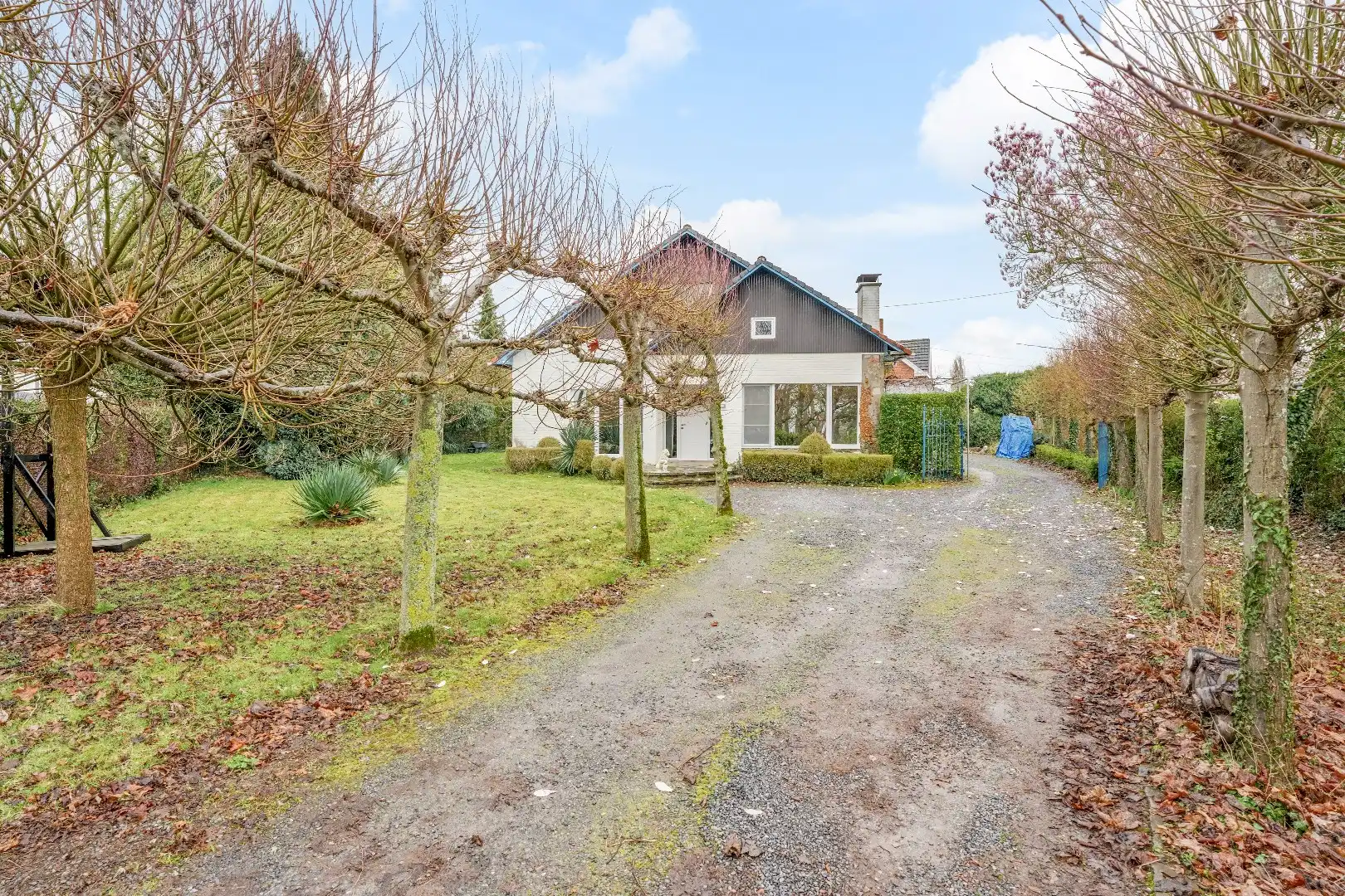 Op te knappen karakteristieke hoekwoning, 4 slpk, (EPC-label C) gelegen aan het Haspengouwse landschap. foto 4