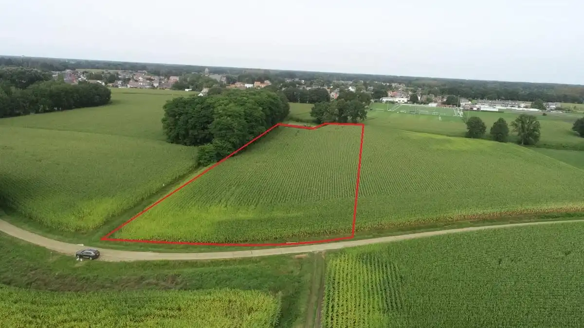 1,16 ha akkerland te Nijlen foto {{pictureIndex}}