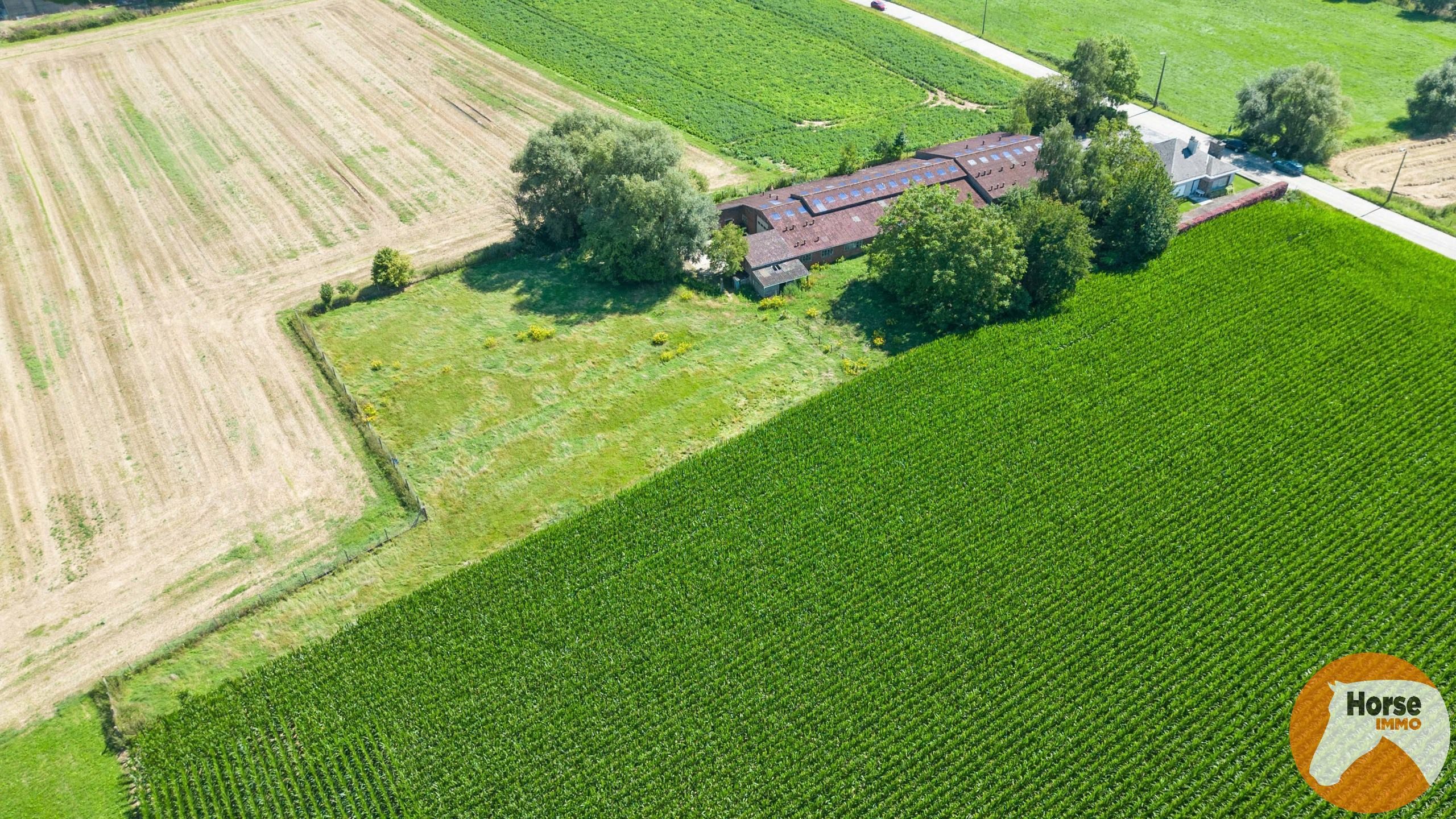 HERNE - Prachtig gelegen woning met grote loods op +-66a foto 4