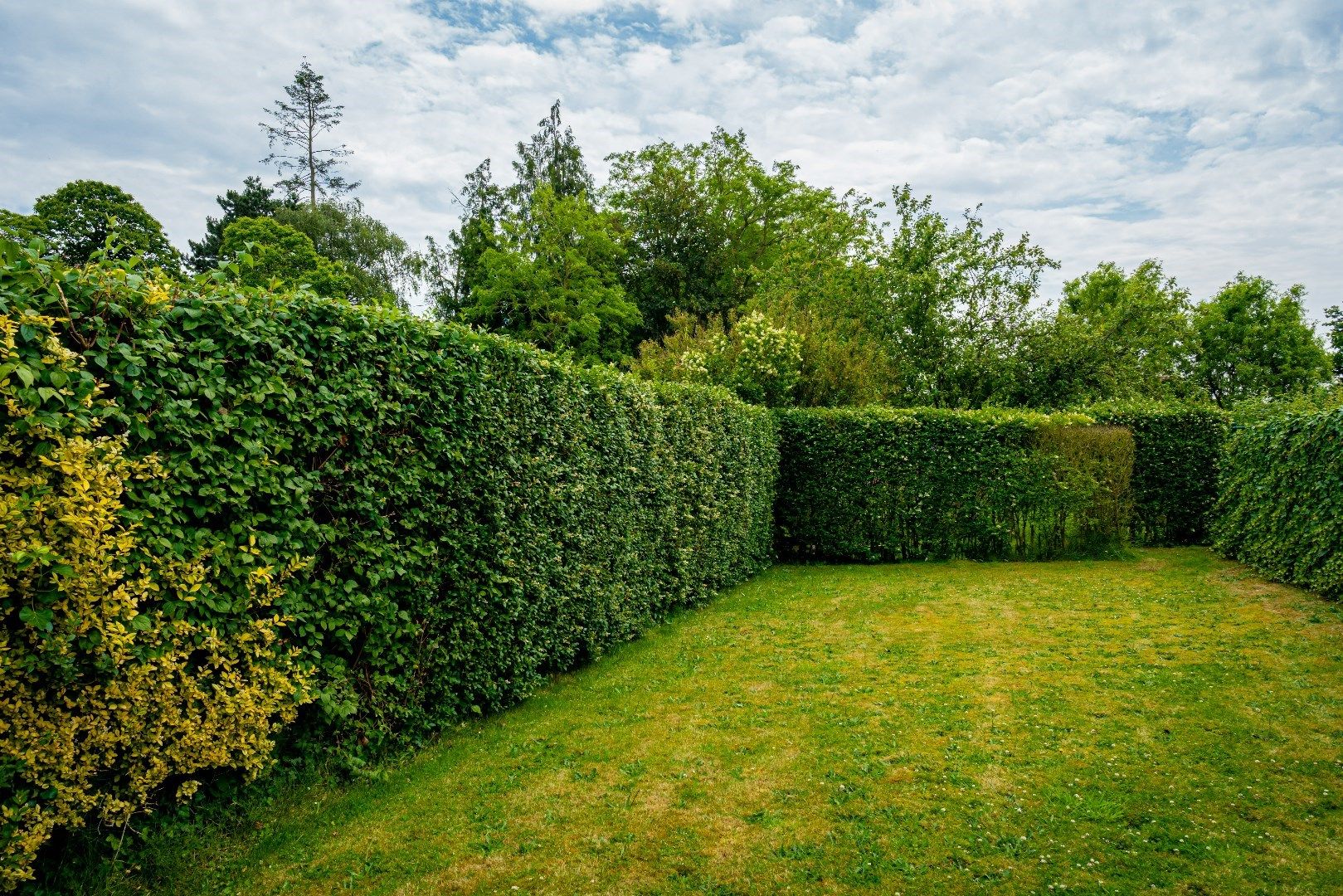 Rijwoning met 3 slaapkamers, garage en tuin in het hartje van Bassevelde foto 7