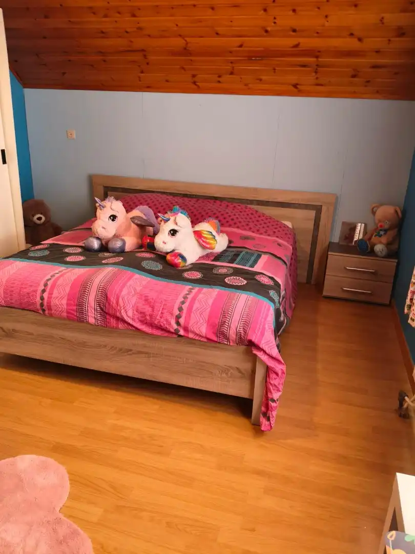 Ruime woning met 4 slaapkamers en garage en carport en tuin foto 19