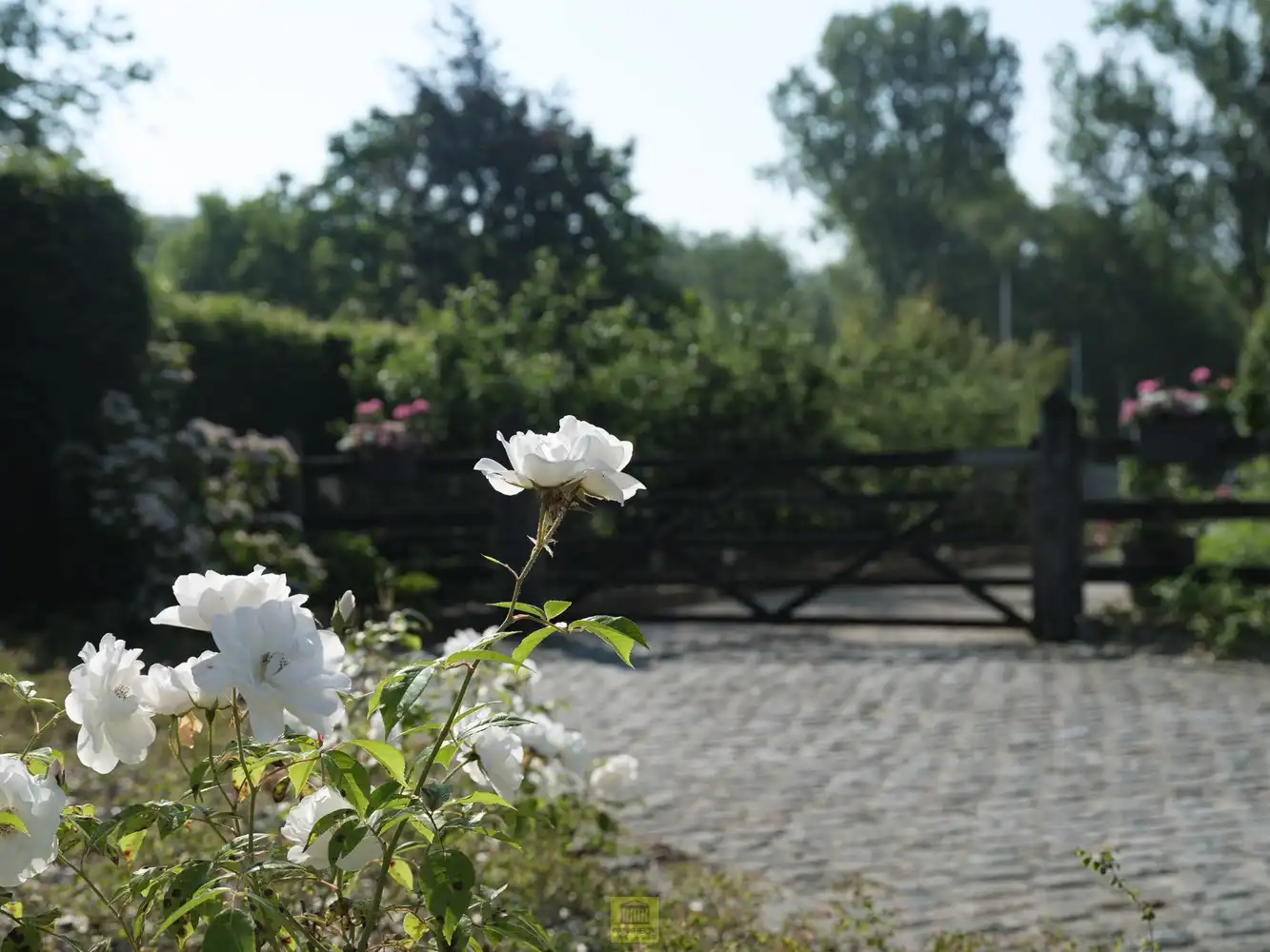 Uitzonderlijk pand - manege met gastenverblijf foto 29