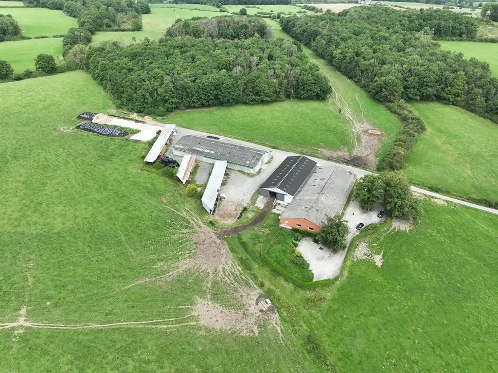 Landbouwbedrijf te Wallonië foto 2