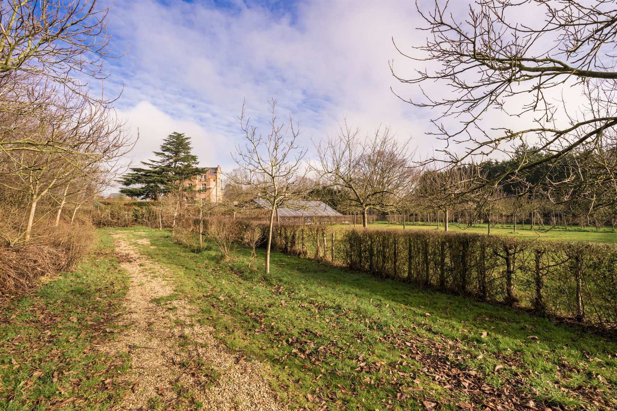 Uitzonderlijke kasteelvilla met siertuin en boomgaard foto 30