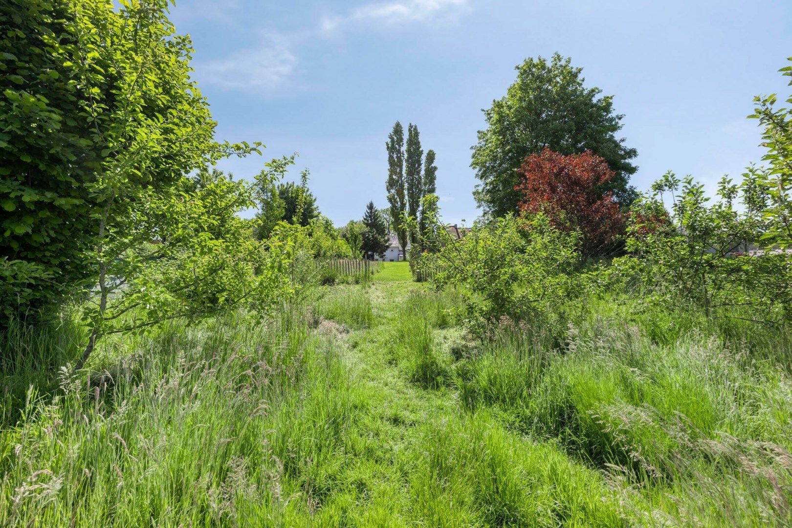 Gerenoveerde woning 3/4 kamers + garage 1652 ALSEMBERG (BEERSEL) foto 27