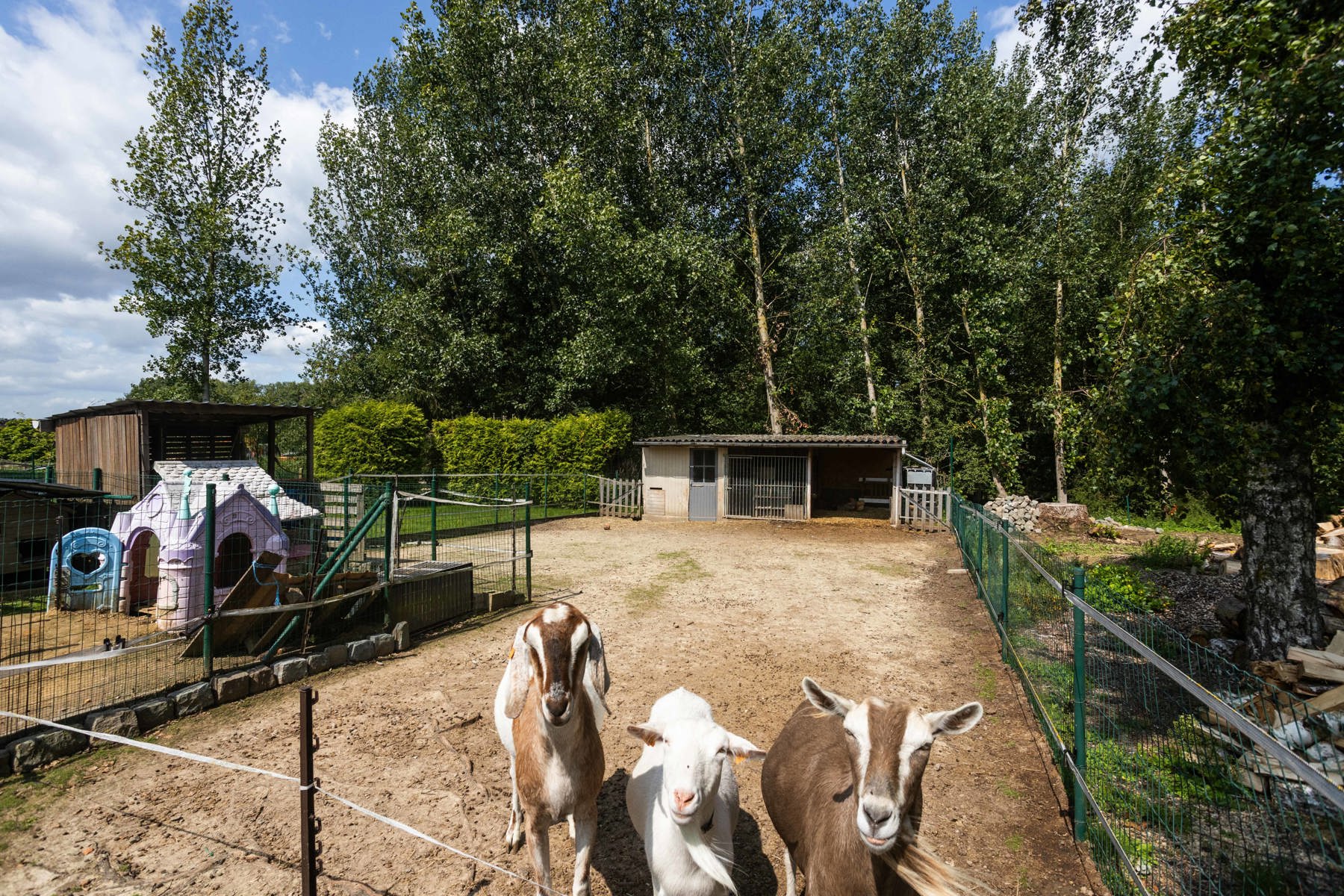 Riante instapklare woning te koop in rustige buurt foto 28