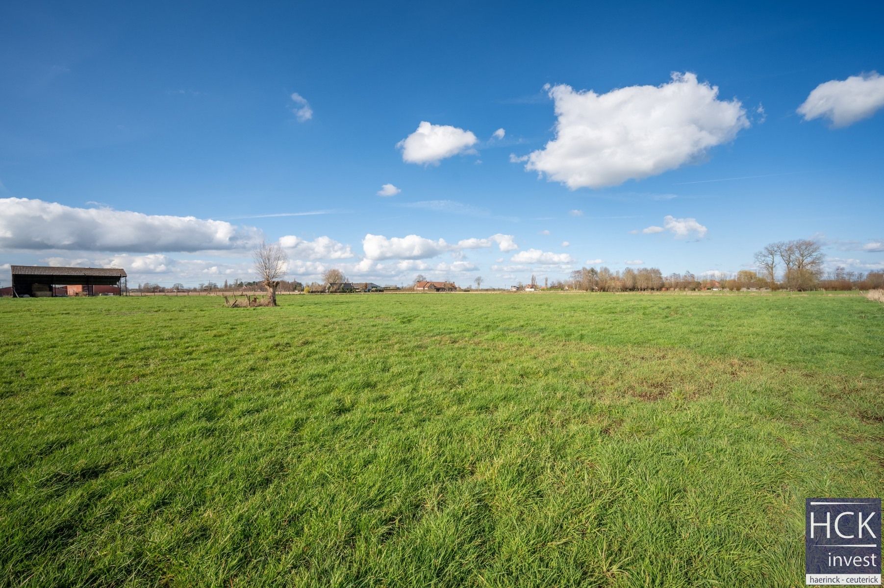 KRUISHOUTEM - Hoeve met woonhuis, landgebouw en hangaar op 2ha 67a foto 14