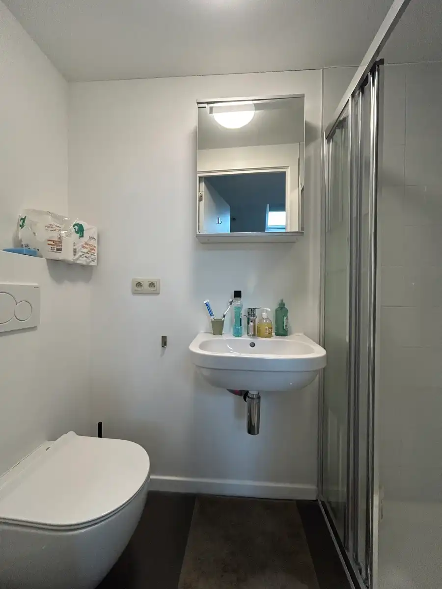 Gerenoveerd opbrengsteigendom Leuven Centrum foto 5