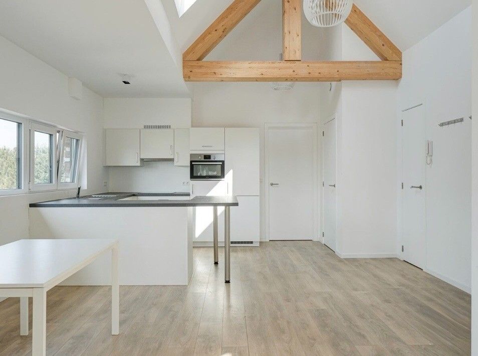 Penthouse met 2 ruime terrassen foto 5