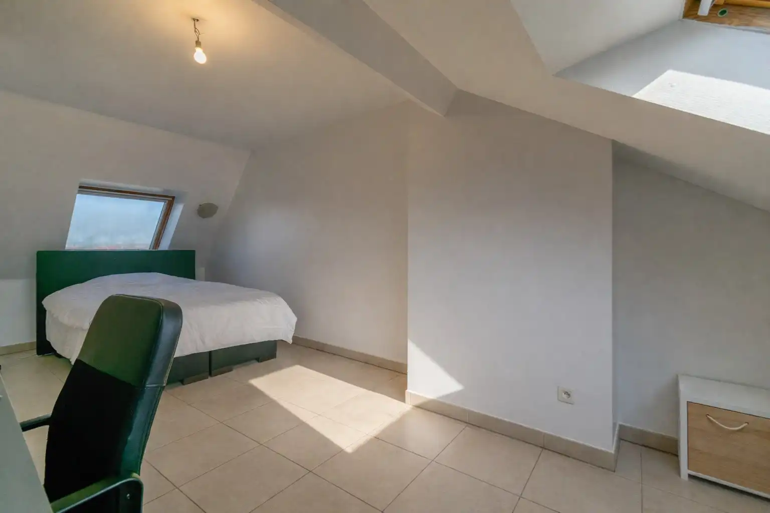 OPBRENGSTGEBOUW MET 4 RUIME APP + HANGAR (350m²)! foto 9