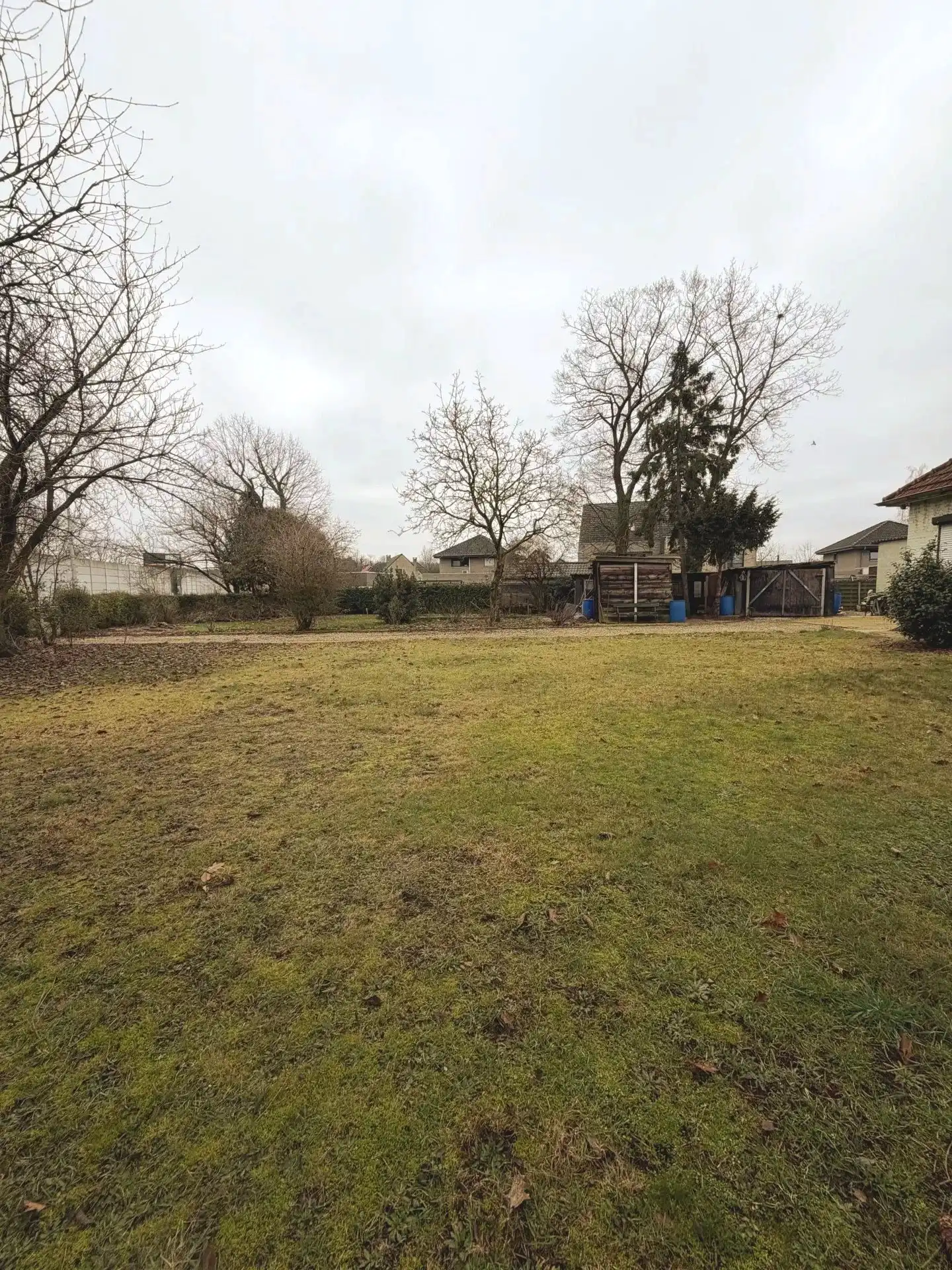 Grond te koop KORKDRIESSTRAAT 8 - 3583 Beringen