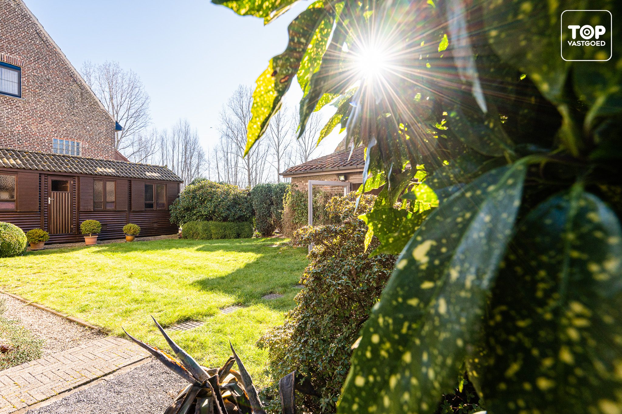 Prachtige te renoveren hoeve met voormalige olieslagerij en stokerij foto 4