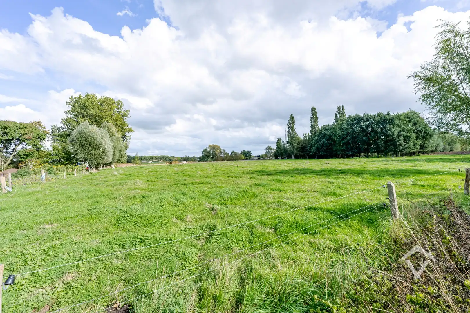 Ruime woning met bijgebouwen in Gistel: 5 Slaapkamers, 368m² Woonoppervlakte op een perceel van 1801m² foto 35