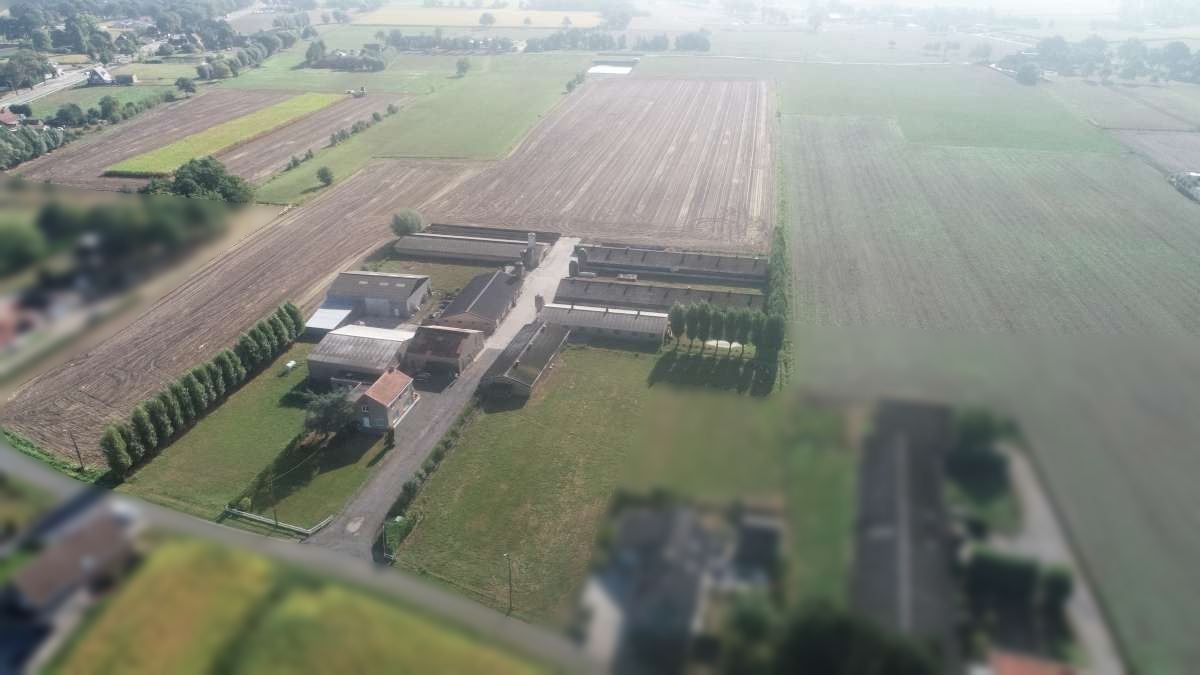 Gemengd landbouwbedrijf gelegen te Maldegem foto 2