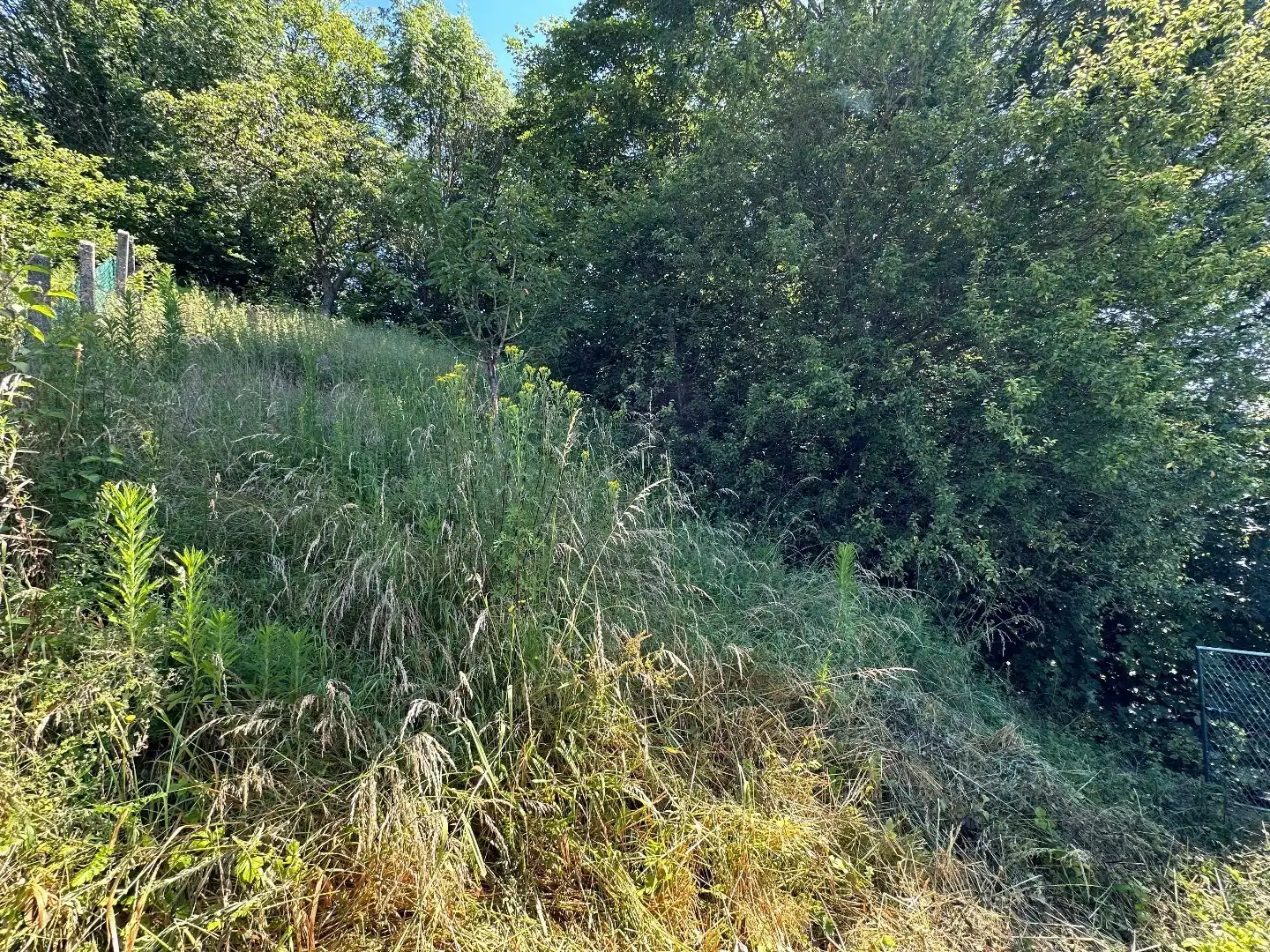 Woning met 4 slaapkamers, tuin en bewoonbare oppervlakte van 308 vierkante meter foto 21