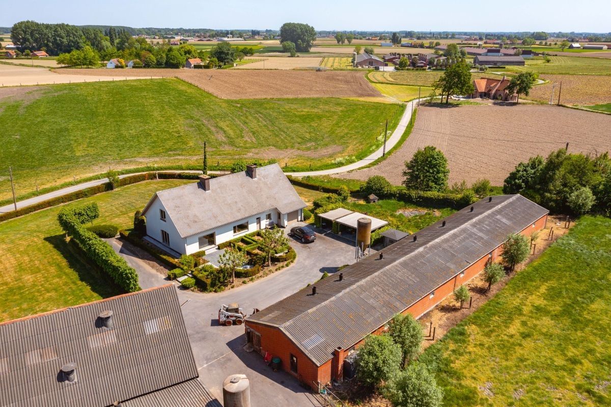 Rundvee- en varkensbedrijf te koop te Kanegem-Tielt foto 5
