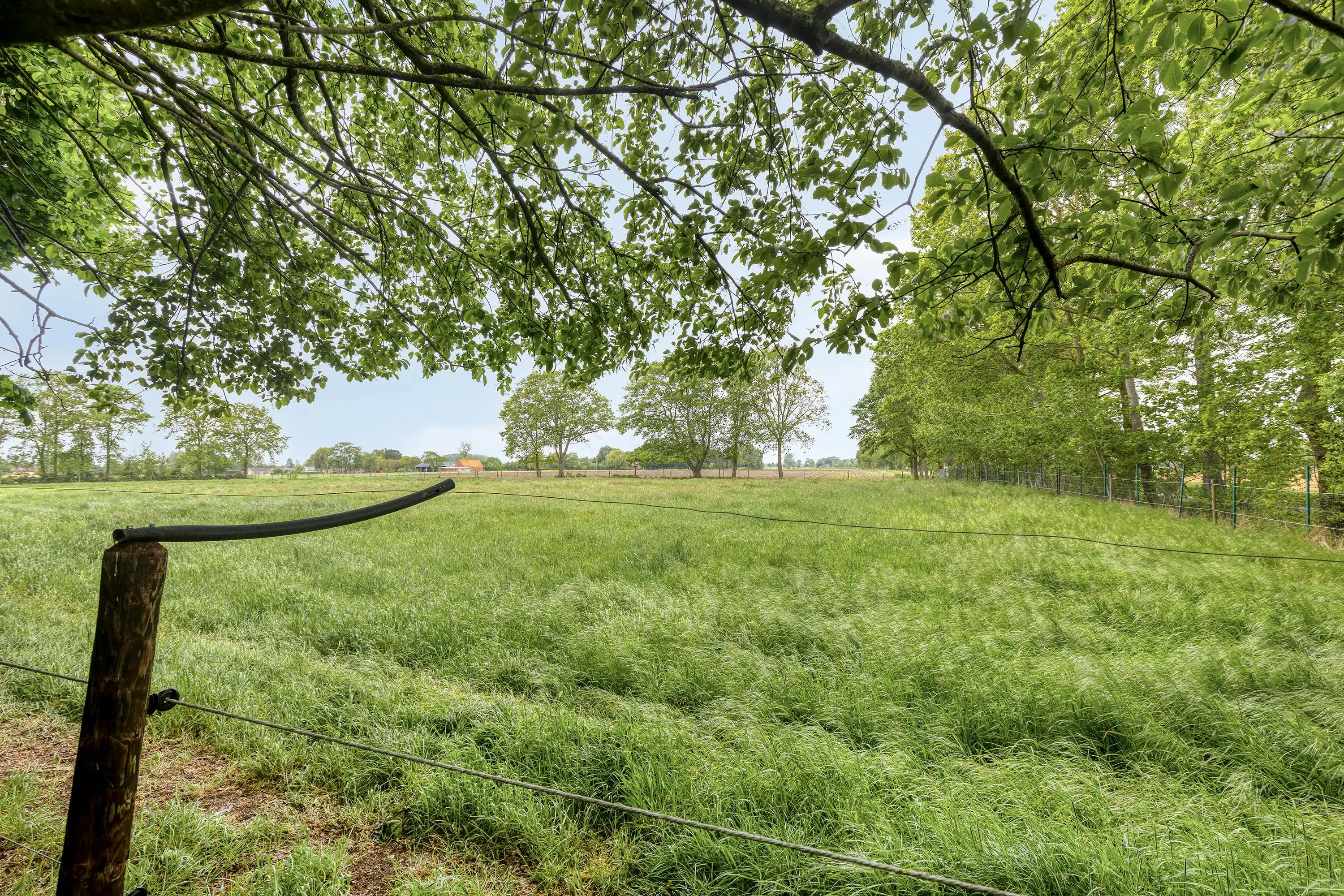 Uitzonderlijk gelegen huis (14.953m²) langs Haantjesveld te Maldegem foto 9
