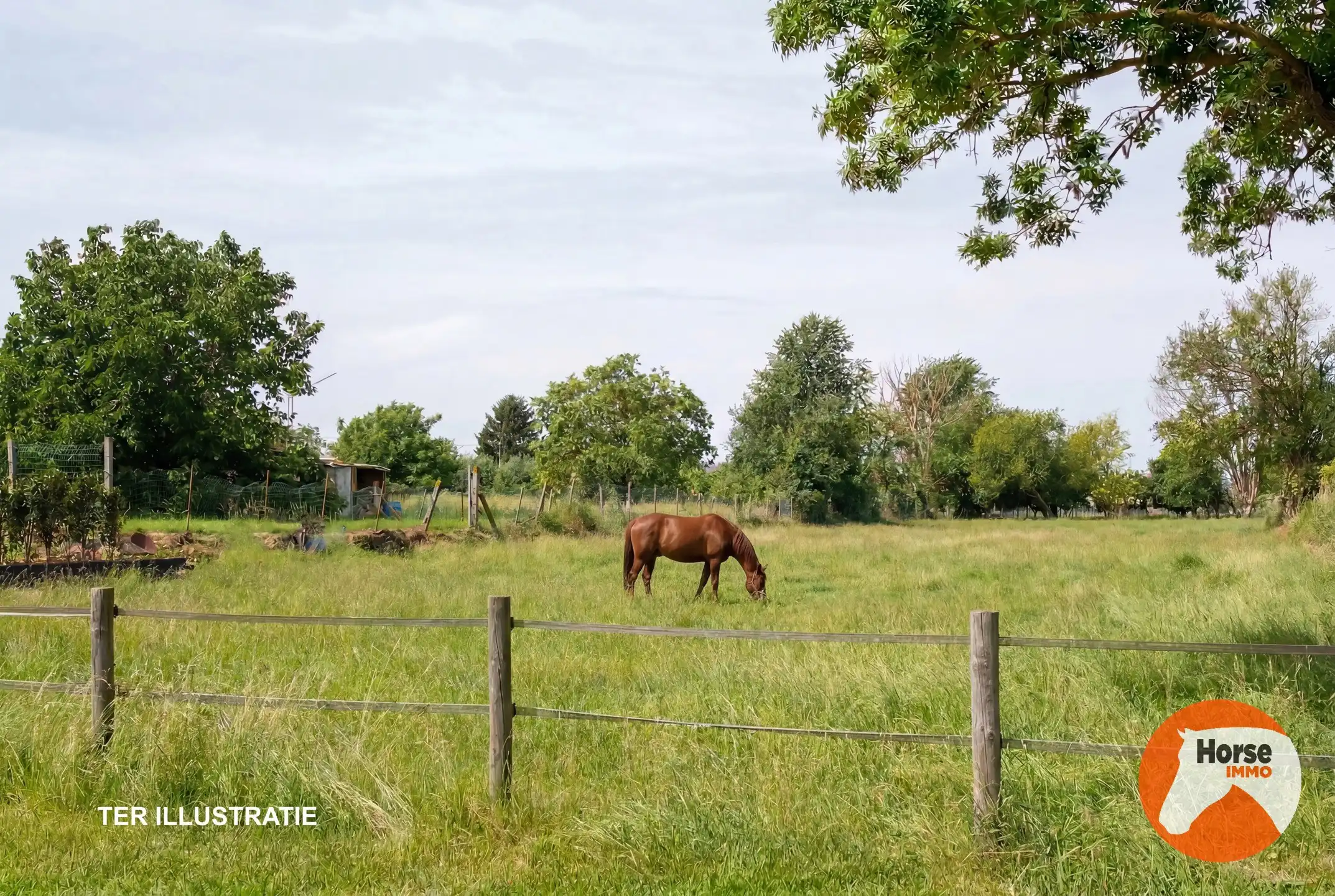 WELLE - Exclusief wonen in een volledig vernieuwde herenwoning! foto 24