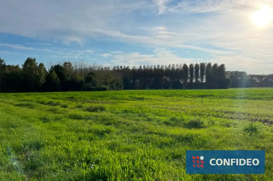 Hooiland foto {{pictureIndex}}