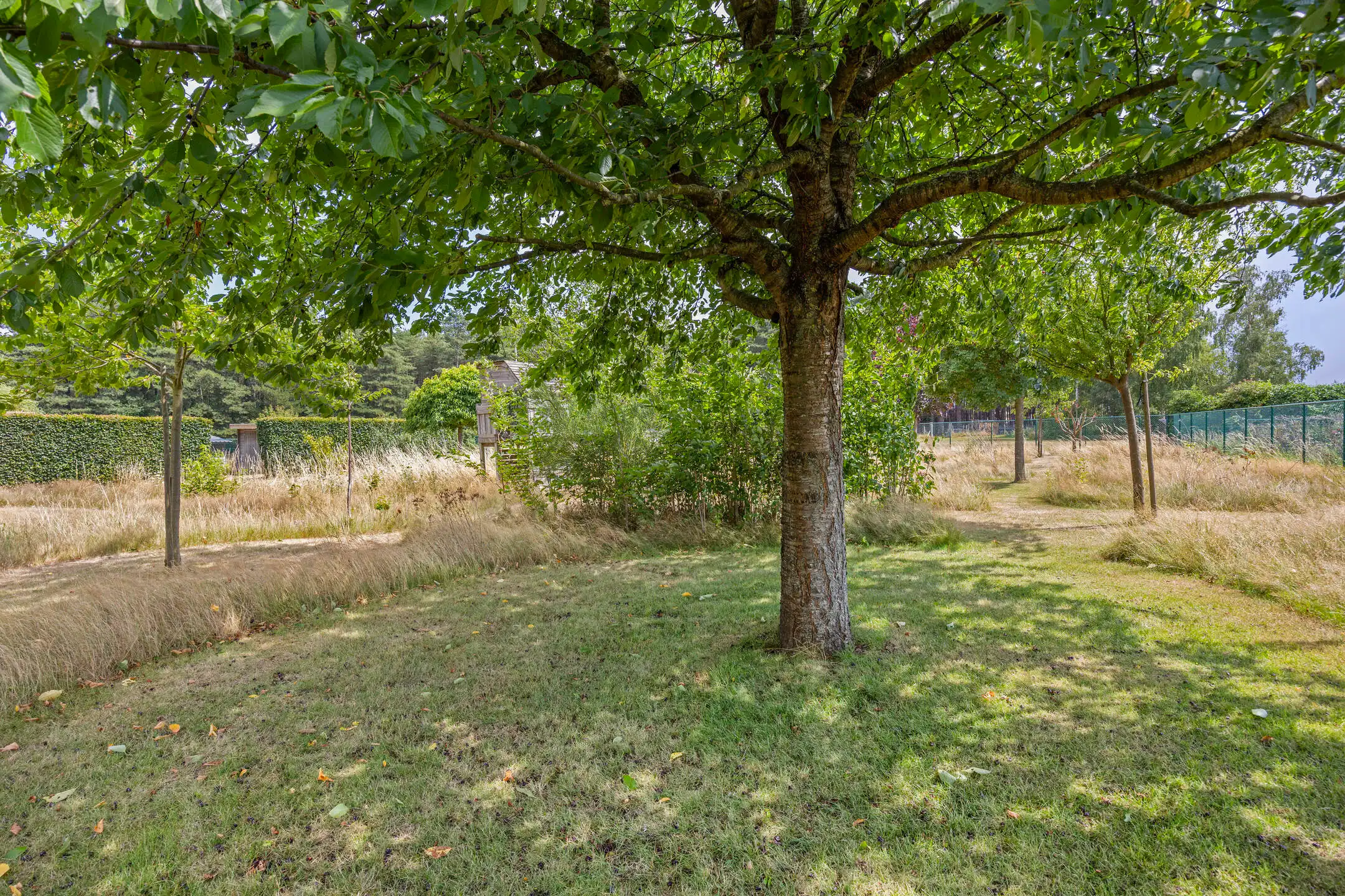 Exclusieve villa met zwembad foto 38