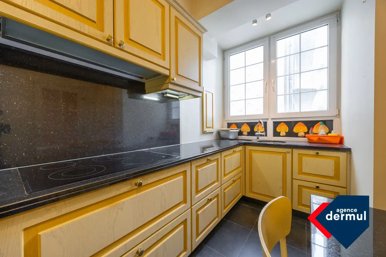 RESIDENTIE MONTE CARLO foto 7