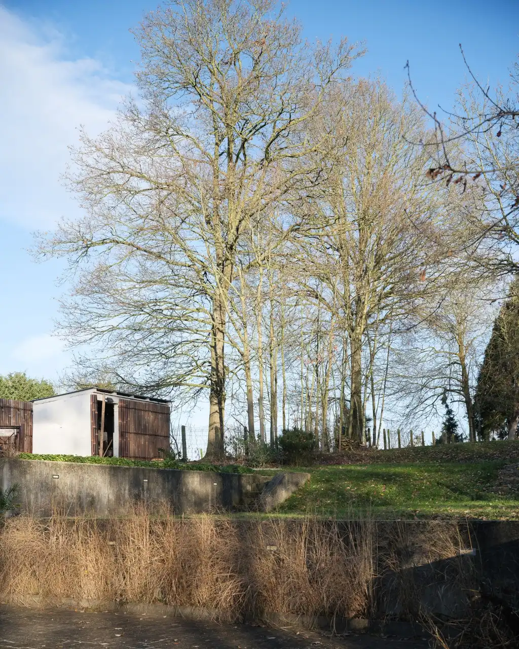 Scheldewindeke – Ruime woning met loftkarakter in een groen, glooiend landschap op slechts 20 minuten van Gent foto 24