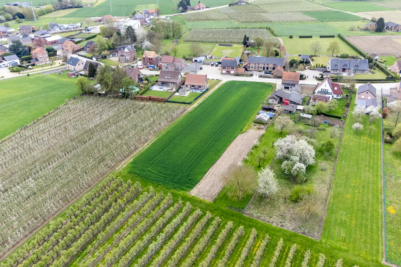 MOOI GELEGEN BOUWGRONDEN IN GLABBEEK (LOT2) foto 2