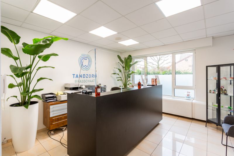 Villa met zee van ruimte , ideaal om te wonen + werken ! foto 8