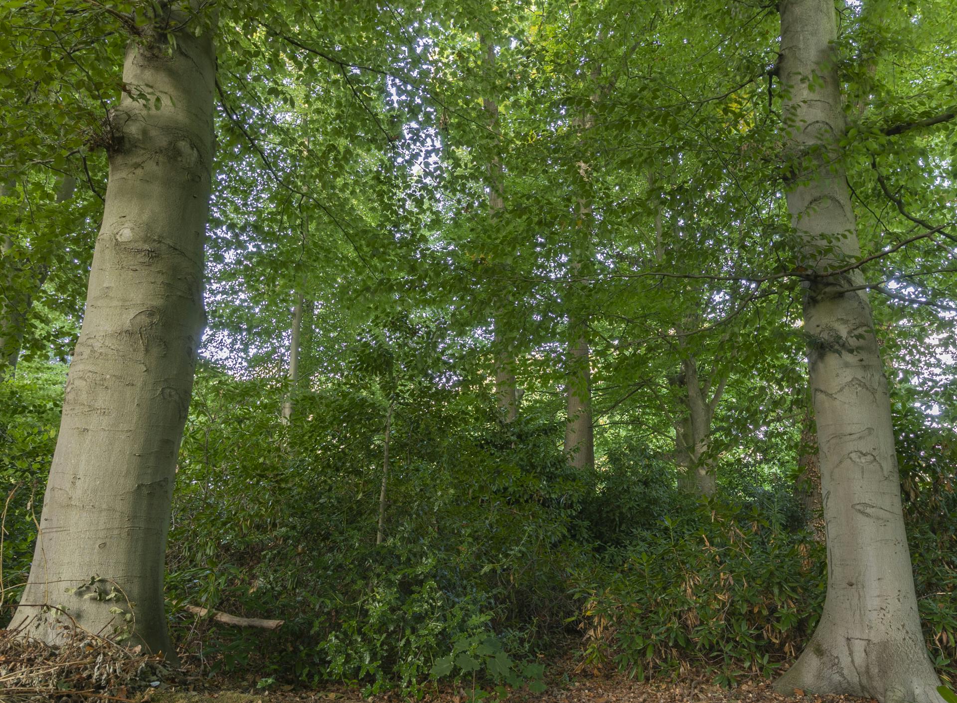 Architectuurwoning door bOb Van Reeth op 2.303m² in Schilde foto 30