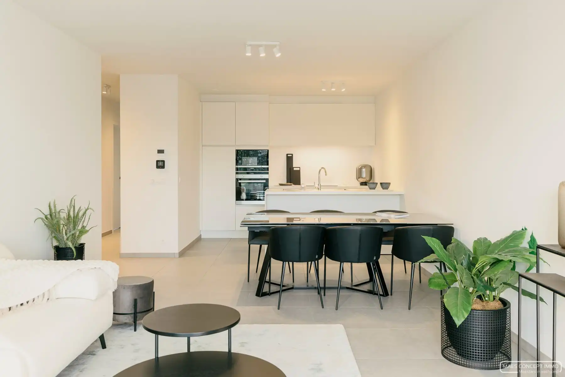 Nieuwbouwappartement te huur met 2 terrassen en 2 slaapkamers in Anzegem foto 3