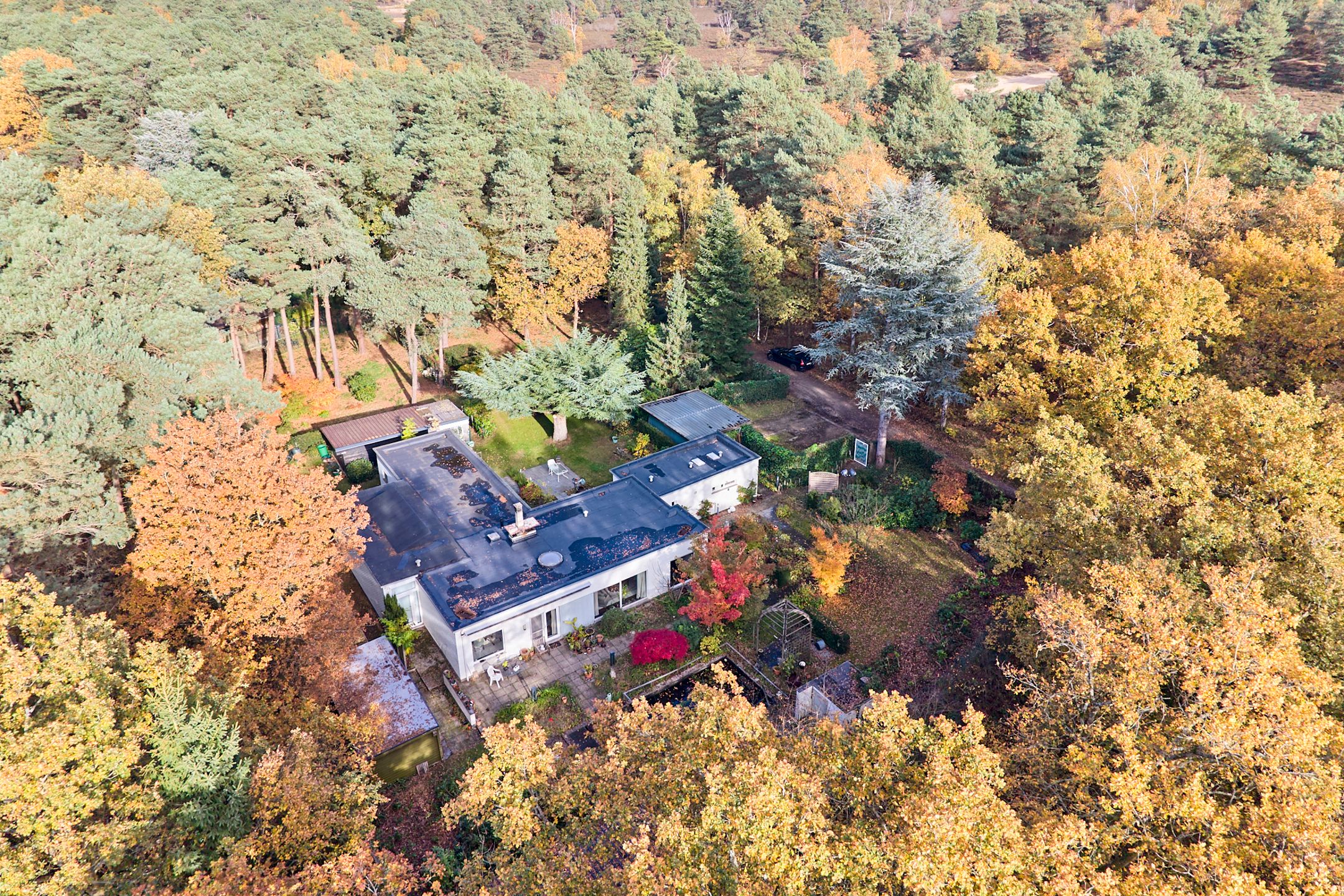 Hoofdfoto van de publicatie: Verborgen villa op de Teut