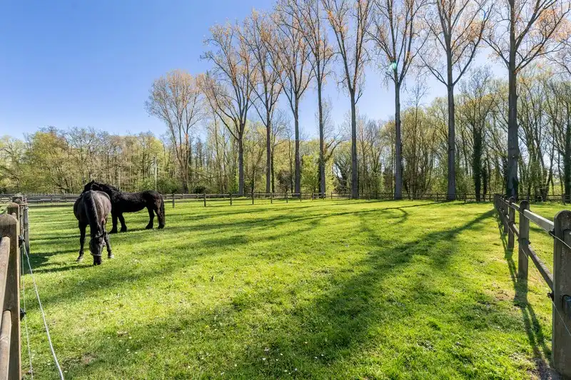 Moderne villa met hippisch complex op 15.856m²  foto 44
