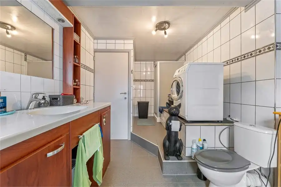 RUIM HANDELSPAND MET WOONST IN SINT-TRUIDEN foto 20